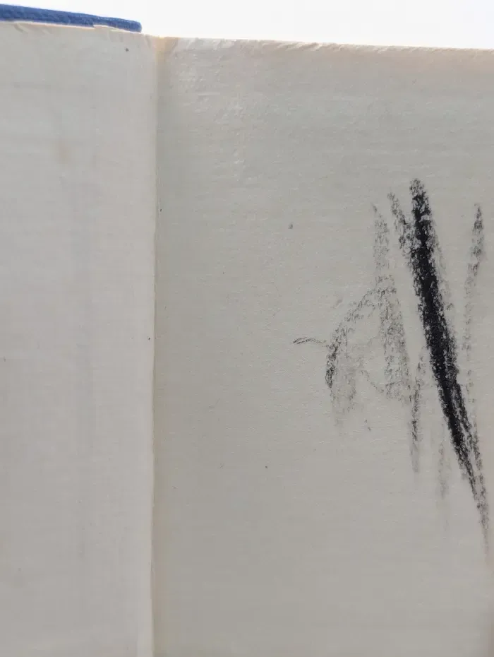 Deutsch-Russisches Wörterbuch