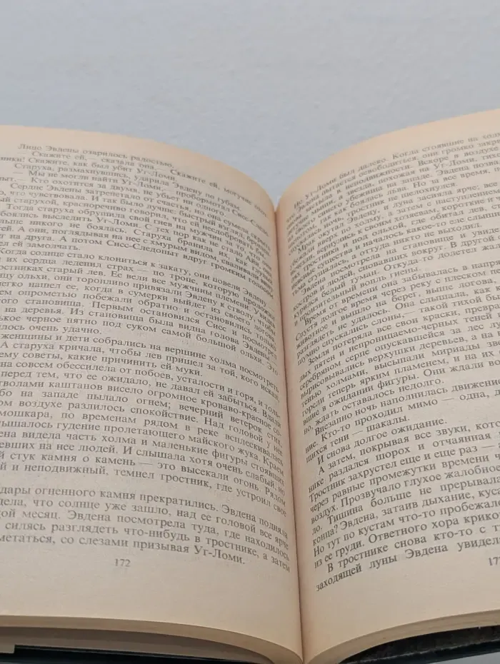 Властелин Темного Леса