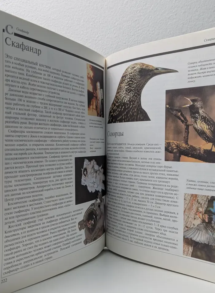 Что такое. Кто такой. Детская энциклопедия в 3 томах. Том 3