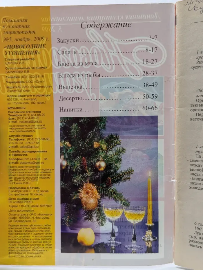 Домашняя кулинарная энциклопедия. Выпуск № 5/2009