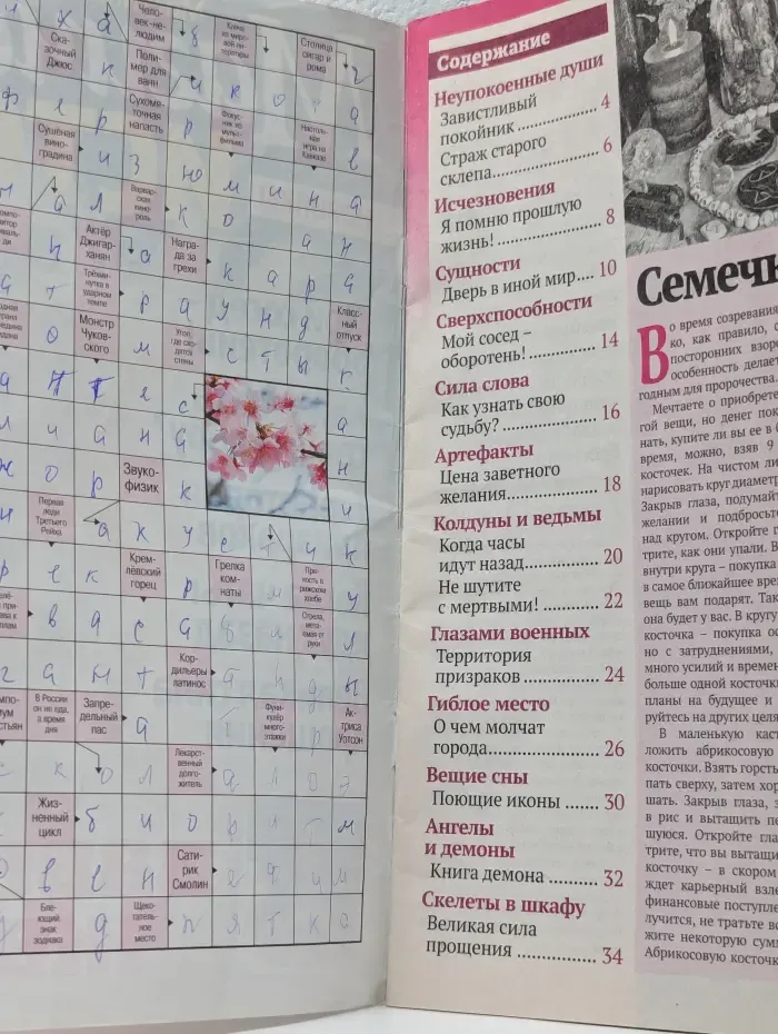 Магические истории. Выпуск № 3/2022. Цена заветного желания