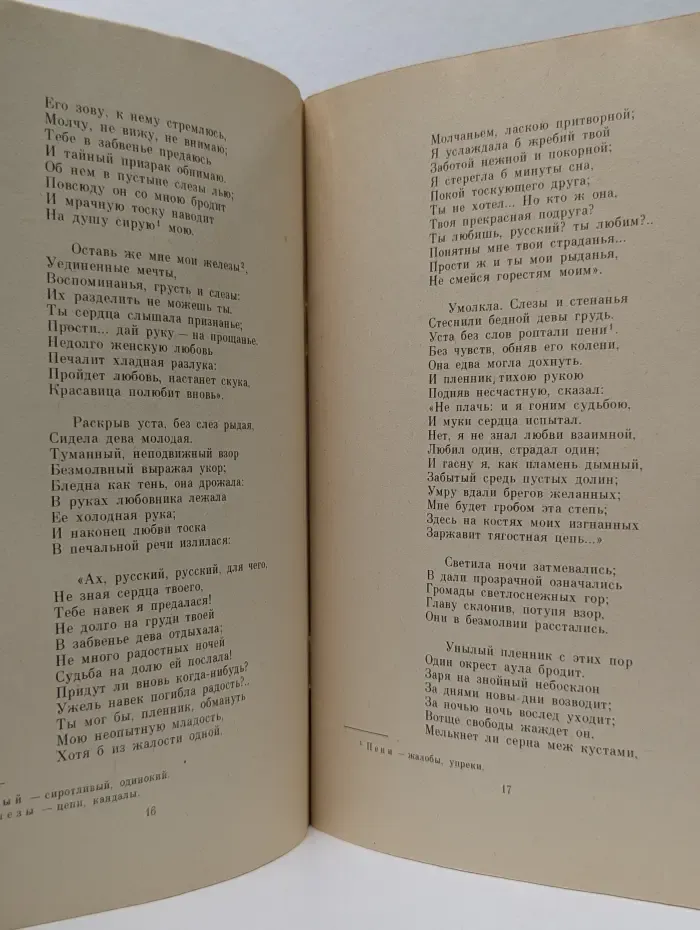 Школьная библиотека. Южные поэмы