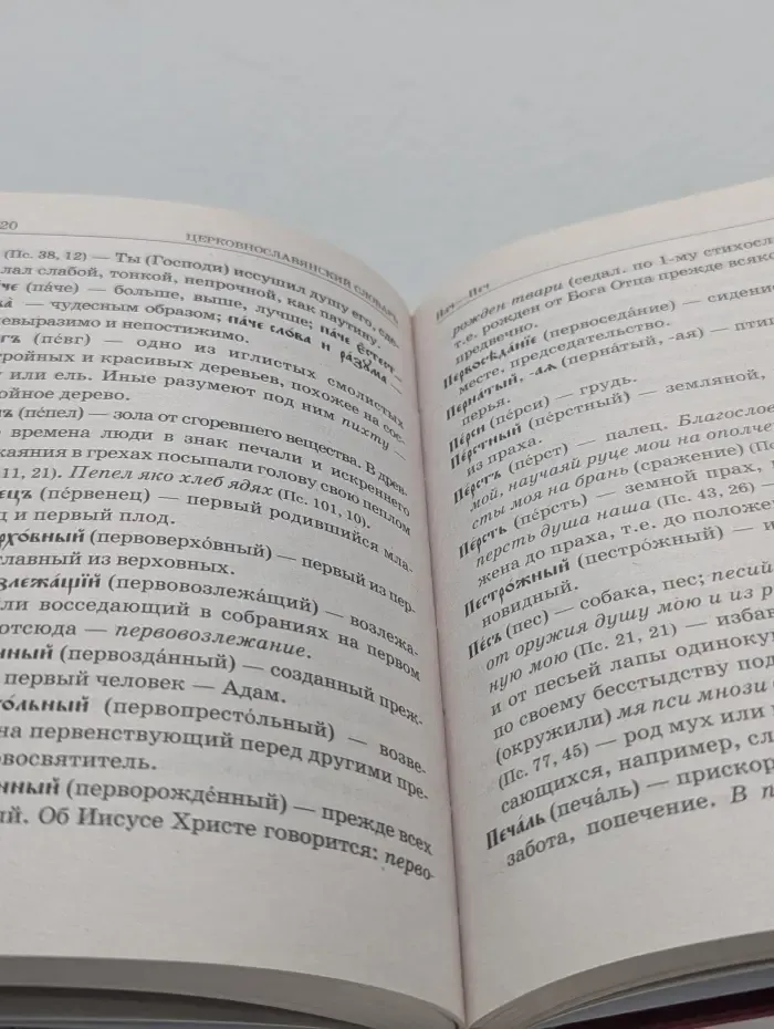 Церковнославянский словарь. Для толкового чтения св. Евангелия, часослова, псалтыри и других богослужебных книг