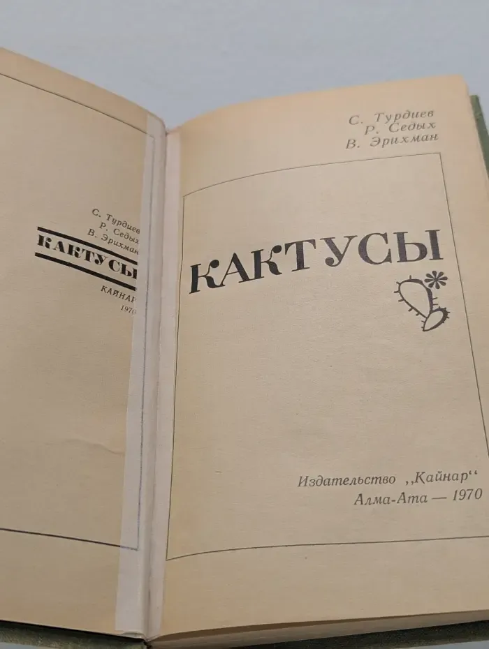 Кактусы