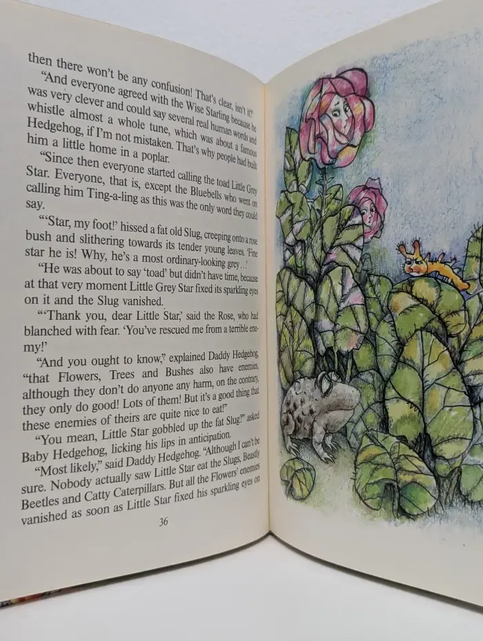 The Hermit and the Rose