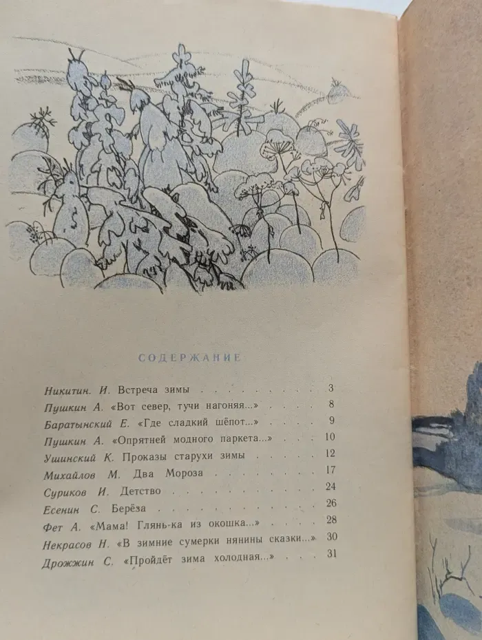 Школьная библиотека. Два мороза