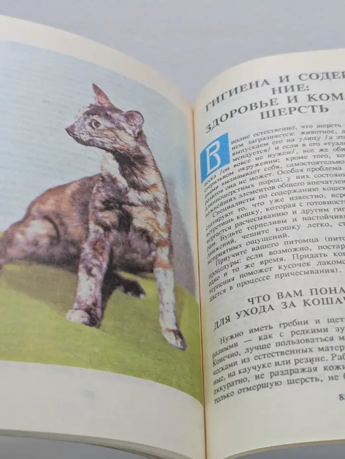 Вечные, священные, неприкосновенные