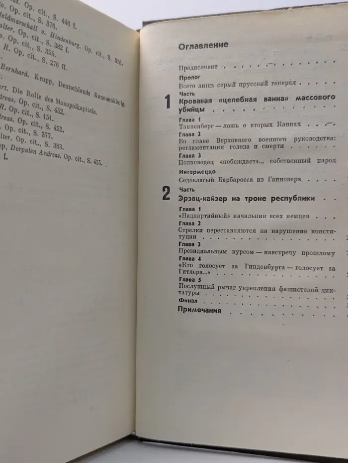 Библиотечная серия. Гинденбург. Портрет германского милитариста
