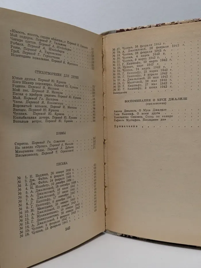 Школьная библиотека. Красная ромашка