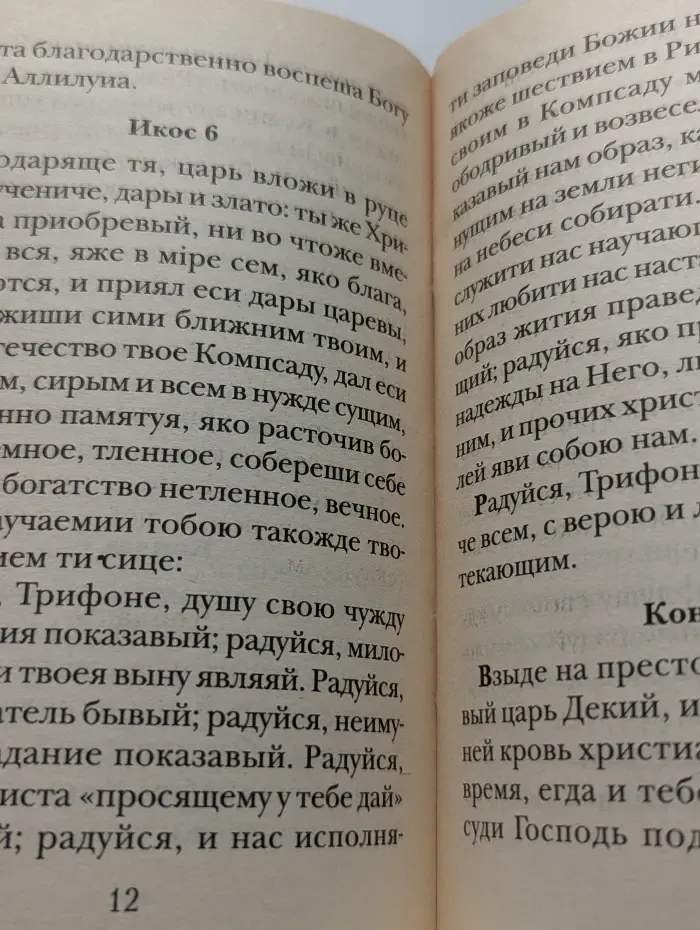 Акафист святому мученику Трифону