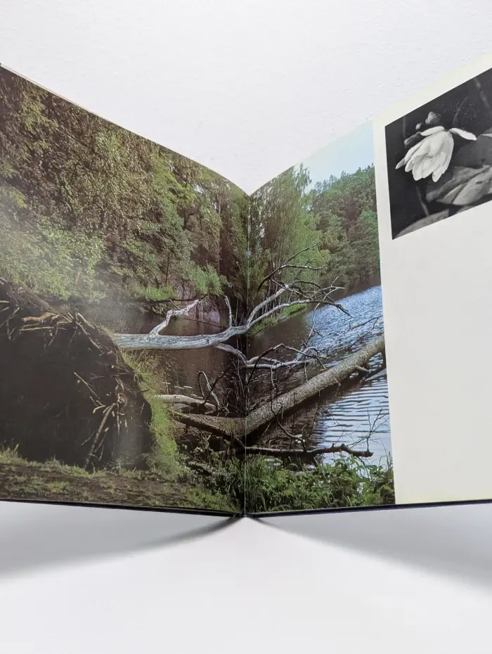 Селигер. Seliger