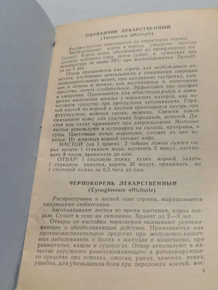 Ваше здоровье. Зеленые лекари
