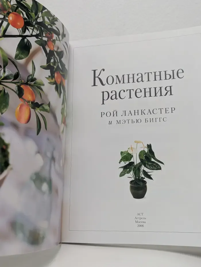 Комнатные растения
