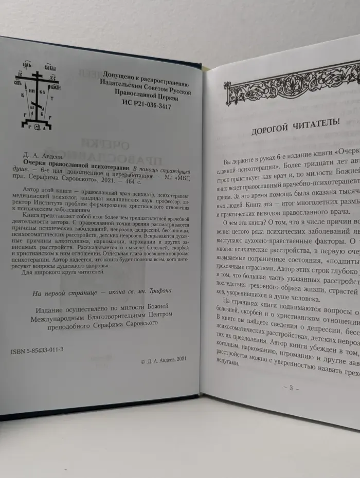 Очерки православной психотерапии