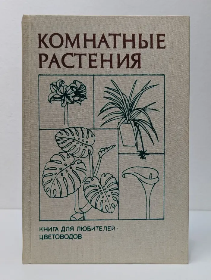 Комнатные растения