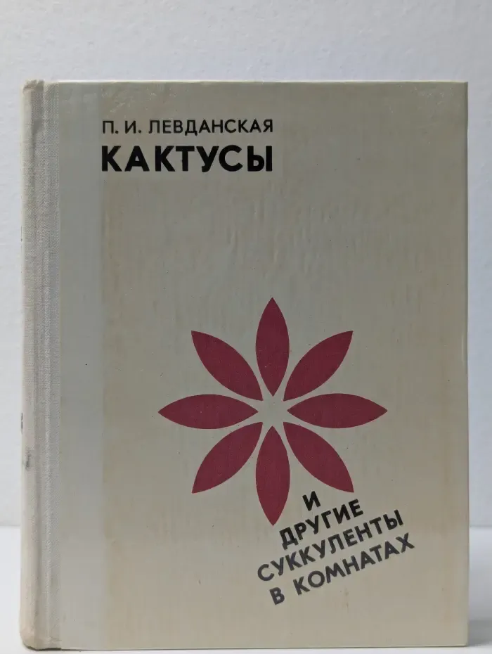 Кактусы и другие суккуленты в комнатах