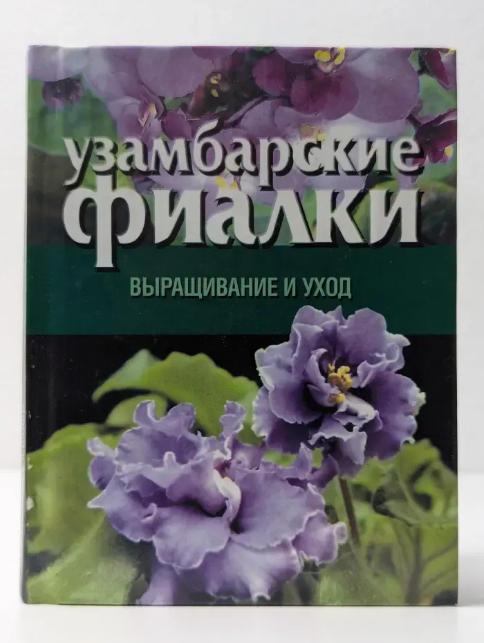 Узамбарские фиалки. Выращивание и уход