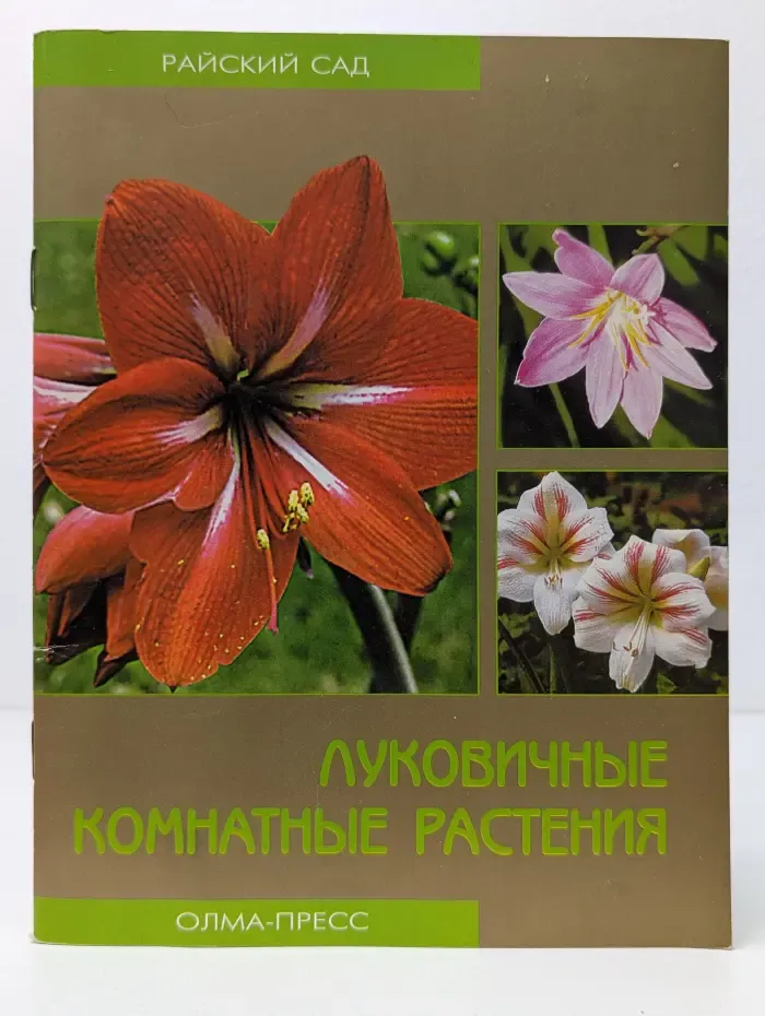 Райский сад. Луковичные комнатные растения