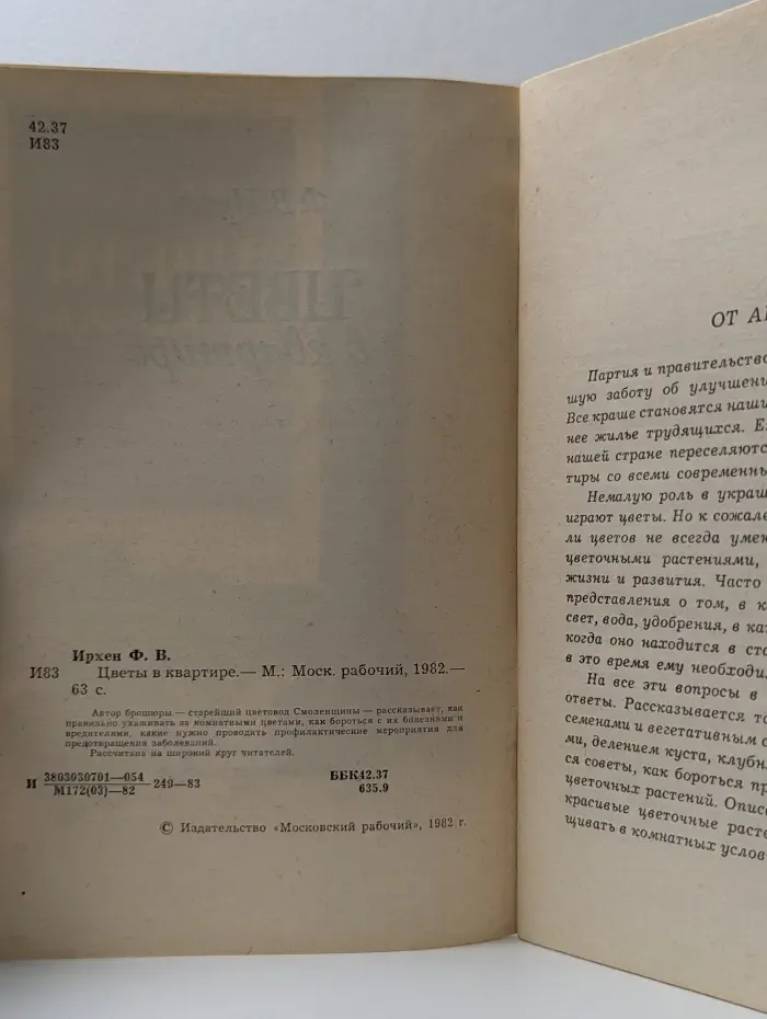 Цветы в квартире
