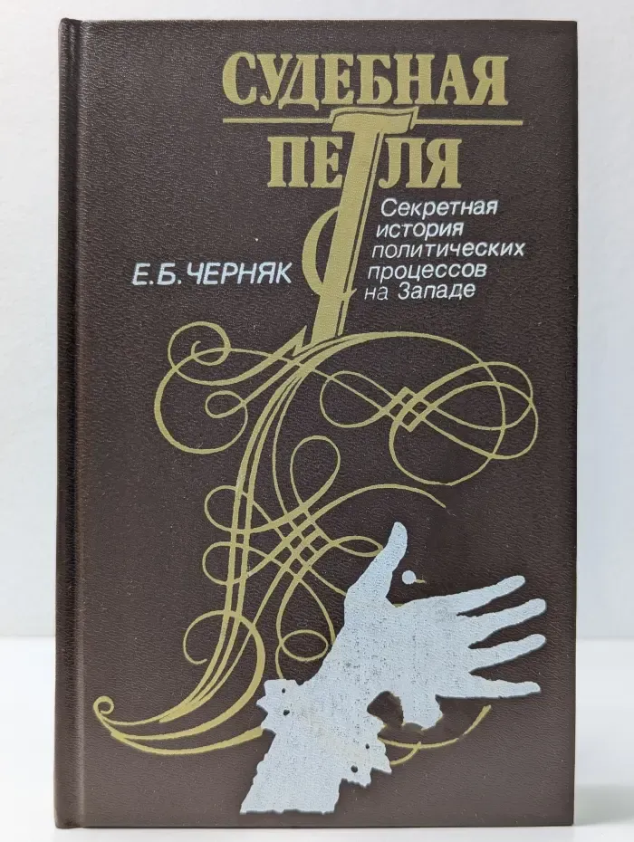Судебная петля. Секретная история политических процессов на Западе