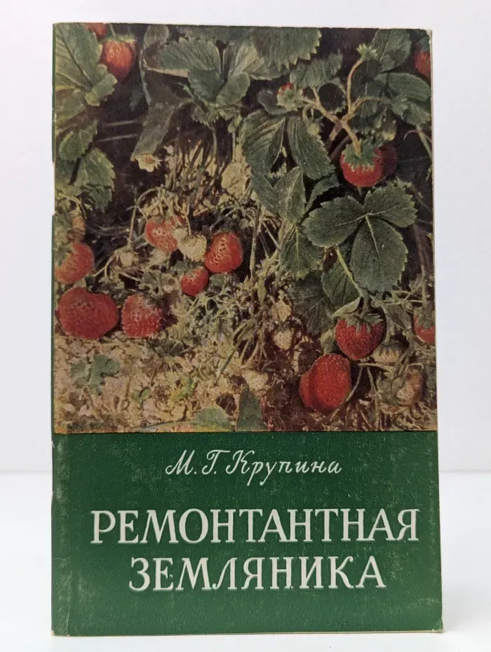 Ремонтантная земляника
