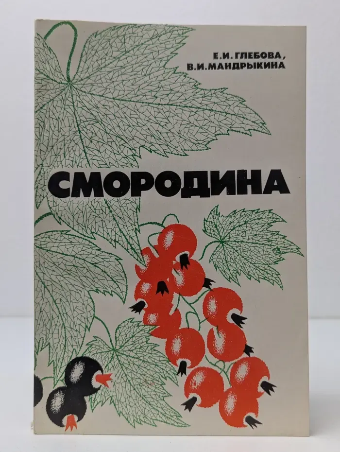 Смородина