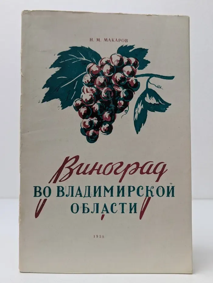 Виноград во Владимирской области