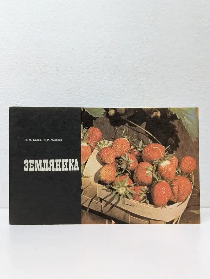Земляника