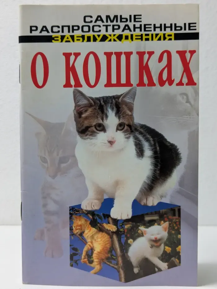 Самые распространенные заблуждения. О кошках