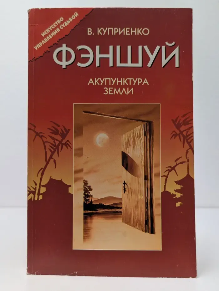 Фэншуй. Акупунктура Земли