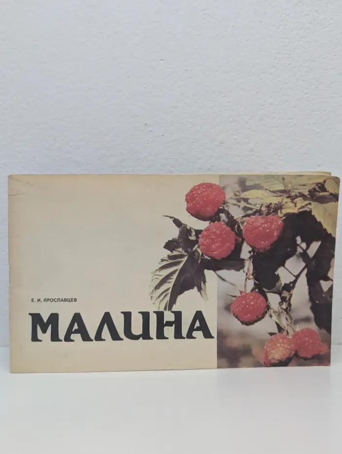 Малина