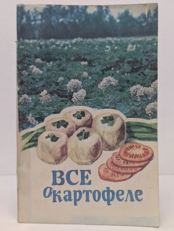Все о картофеле