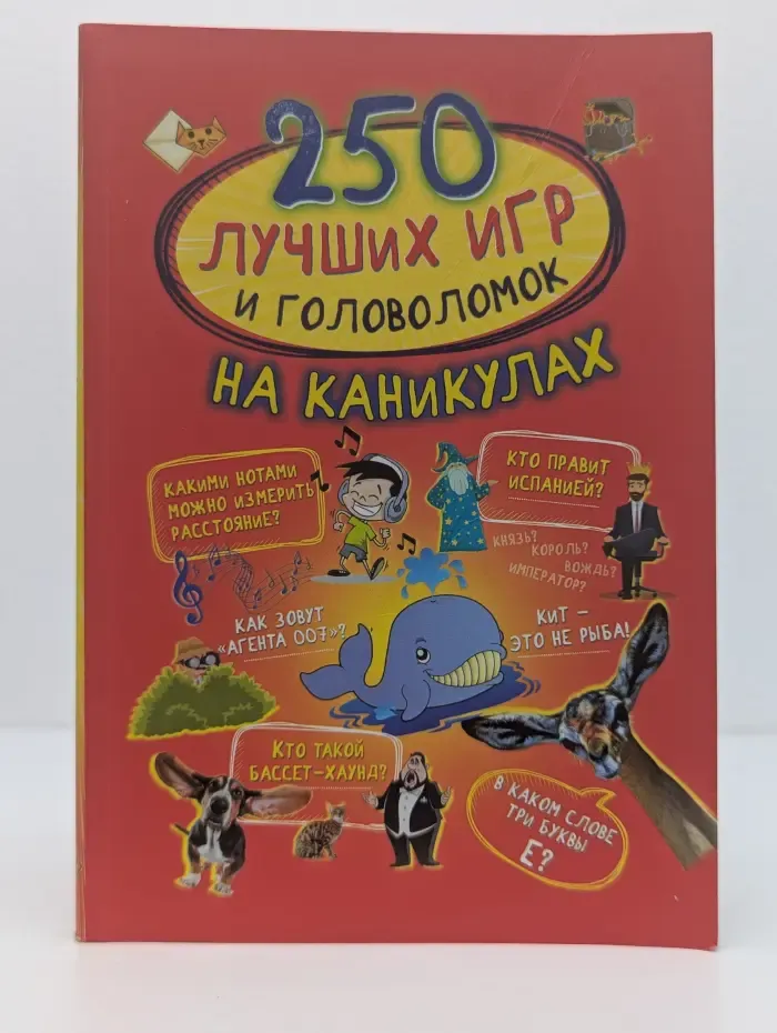 250 лучших игр и головоломок на каникулах