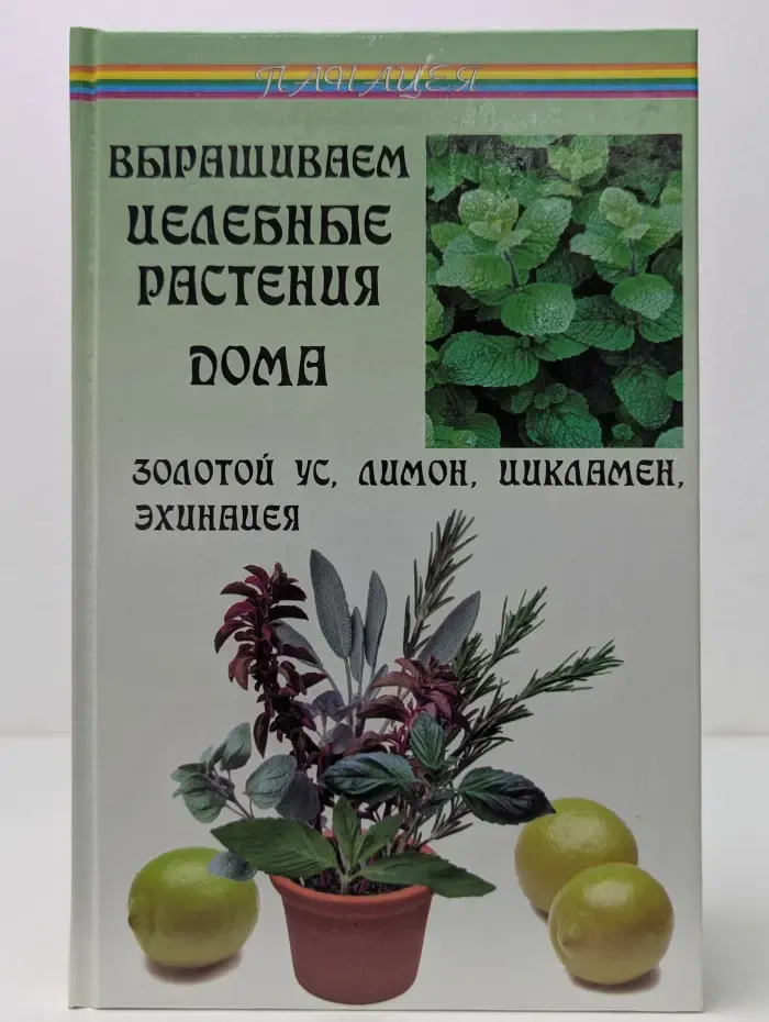 Панацея. Выращиваем целебные растения дома. Золотой ус, лимон, цикламен, эхинацея