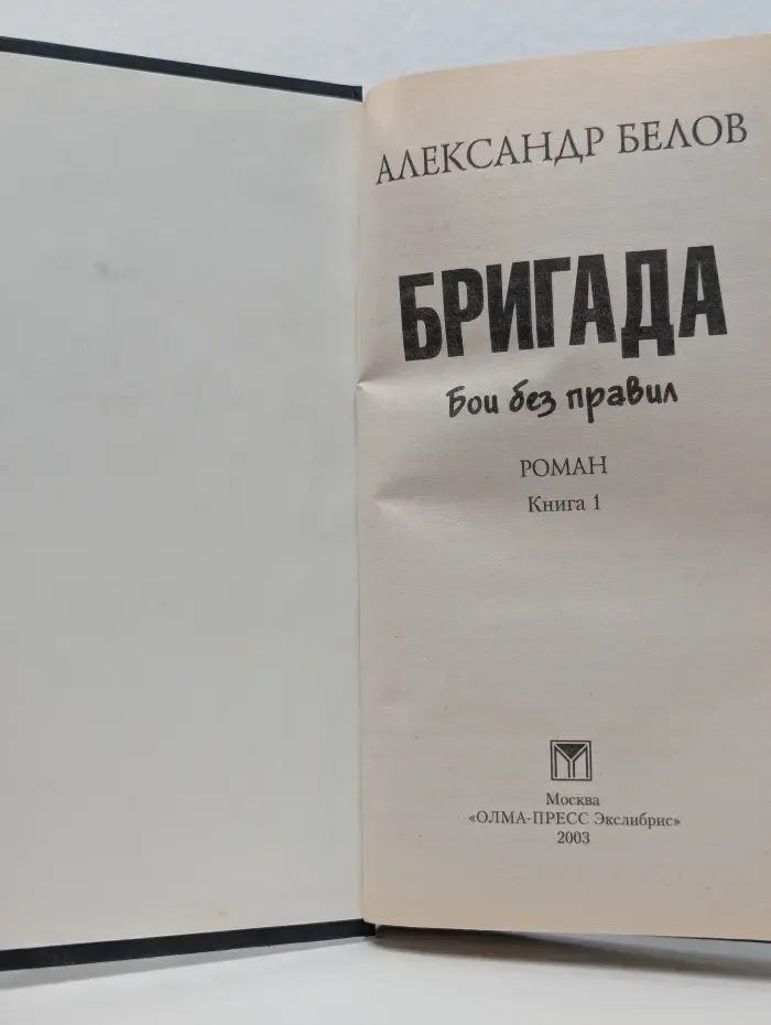 Бригада. Бои без правил. Книга 1
