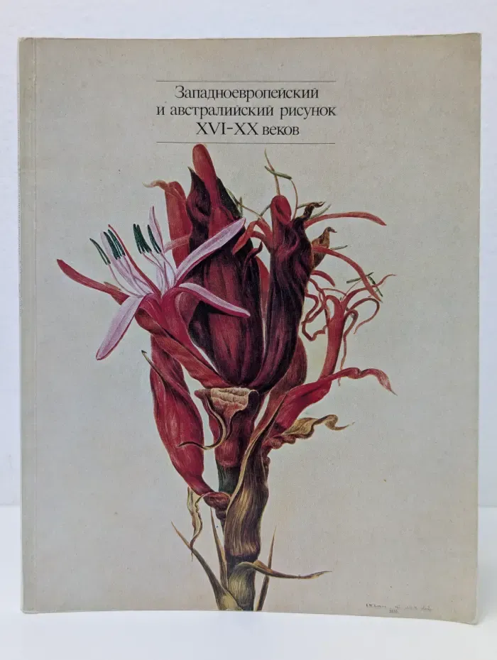 Западноевропейский и австралийский рисунок XVI-XX веков