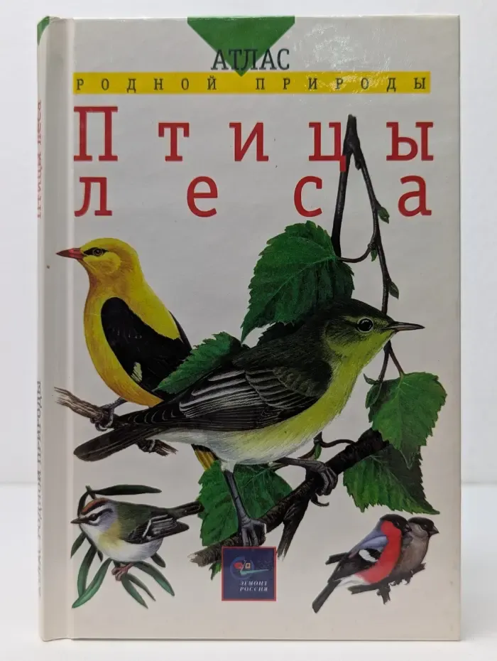 Атлас родной природы. Птицы леса