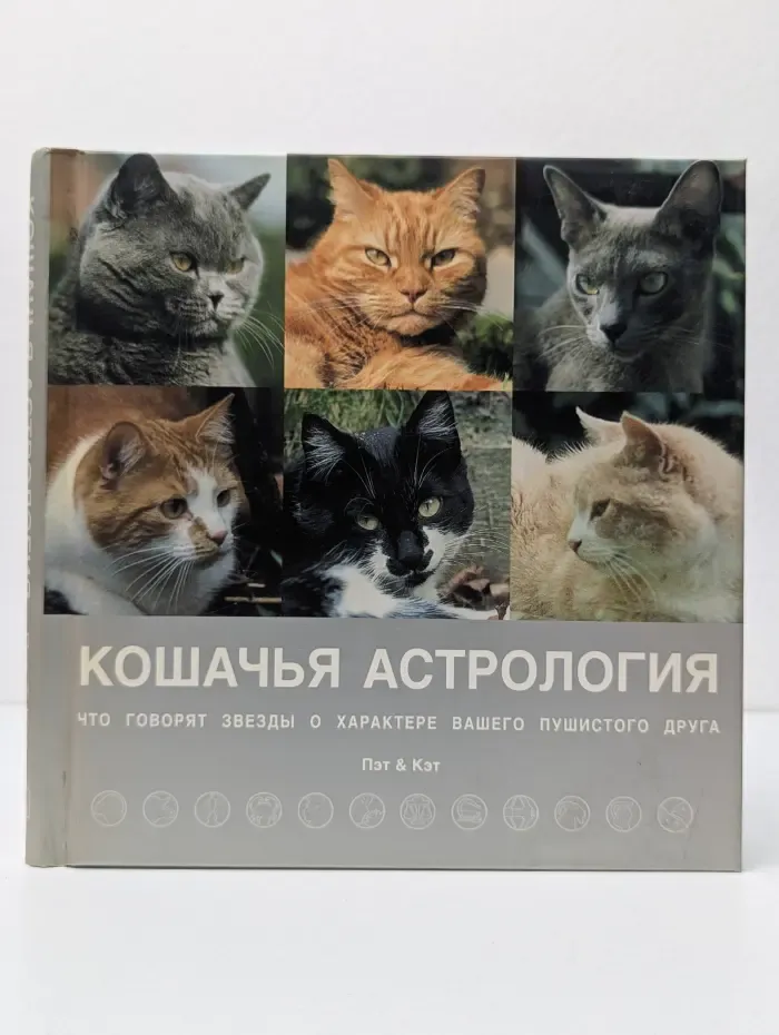 Кошачья астрология. Звезды о характере вашего пушистого друга