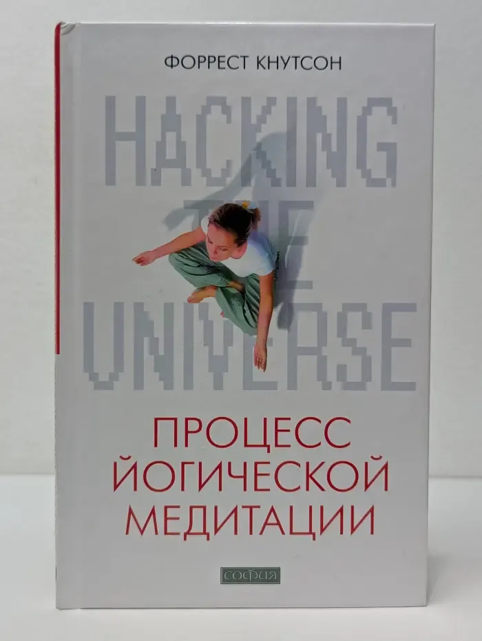 Hacking the Universe. Процесс йогической медитации
