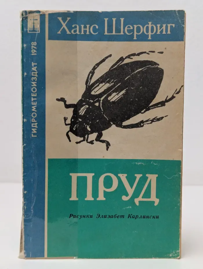Пруд