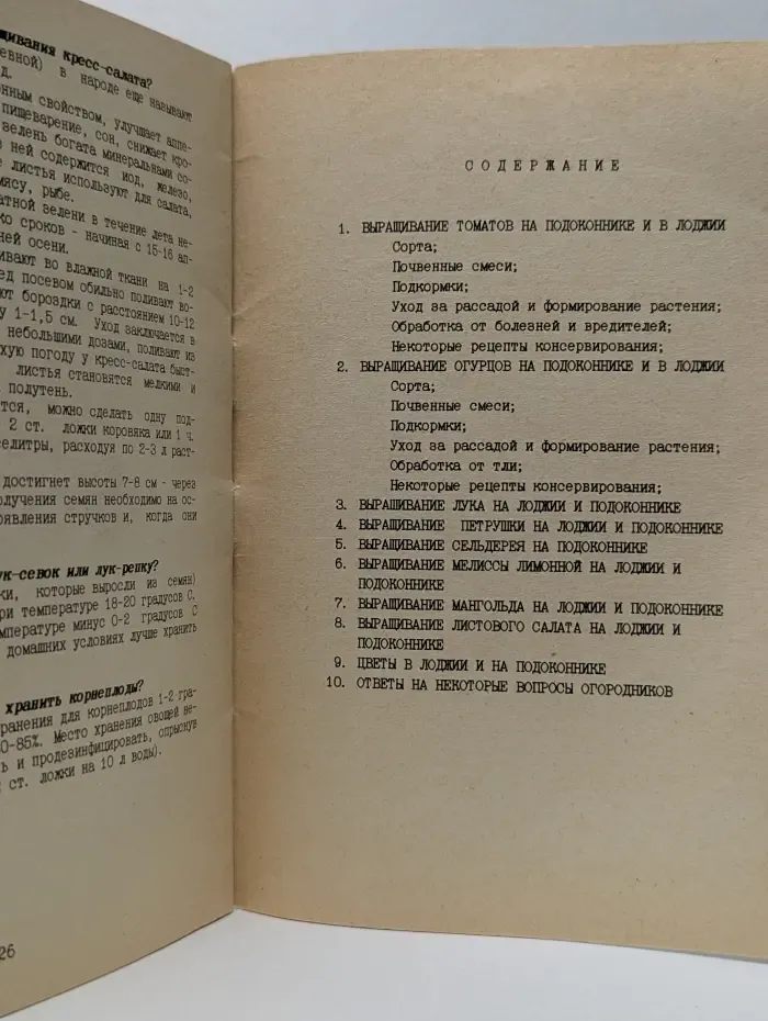 Зелень летом и зимой