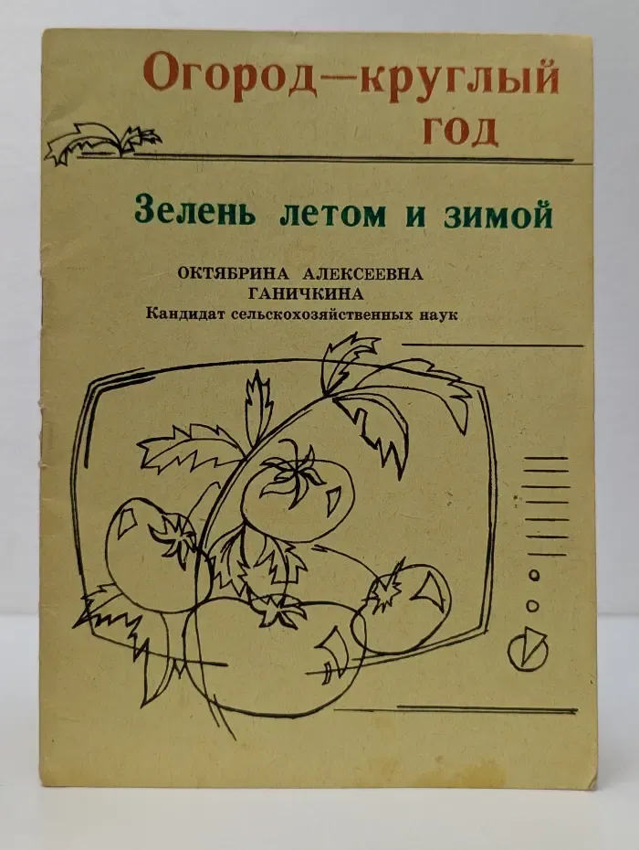 Зелень летом и зимой