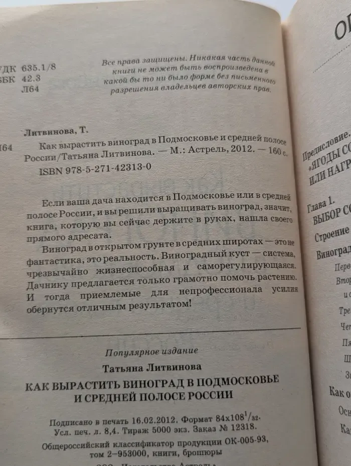 Как вырастить виноград в Подмосковье и средней полосе России