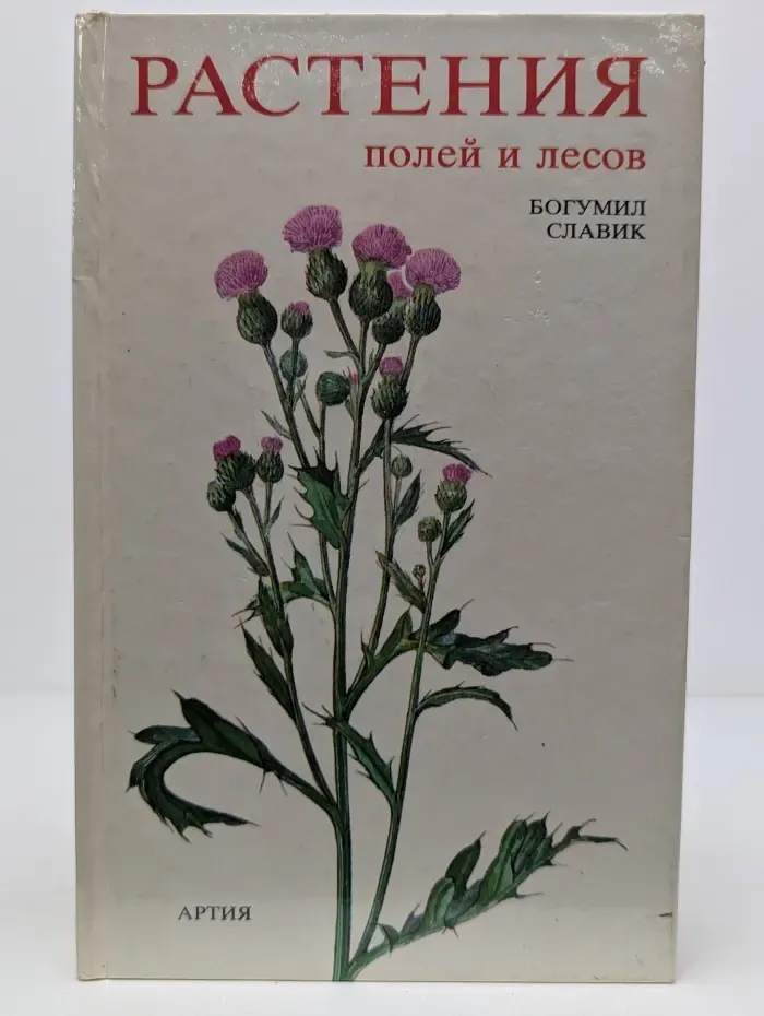 Растения полей и лесов
