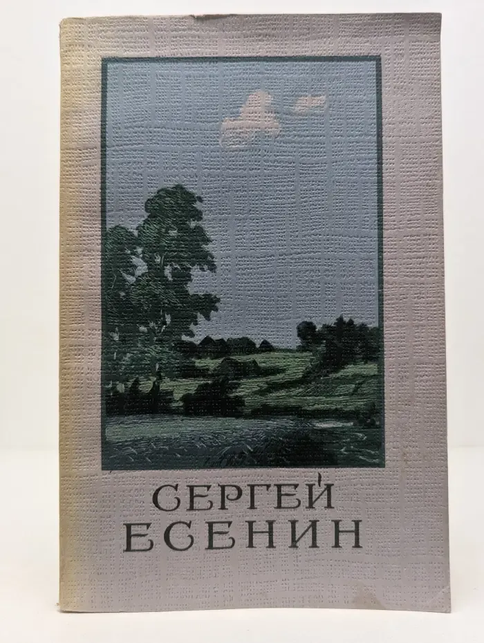 Сергей Есенин. Сочинения в 2 томах. Том 2