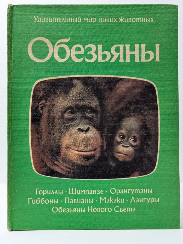 Удивительный мир диких животных. Обезьяны