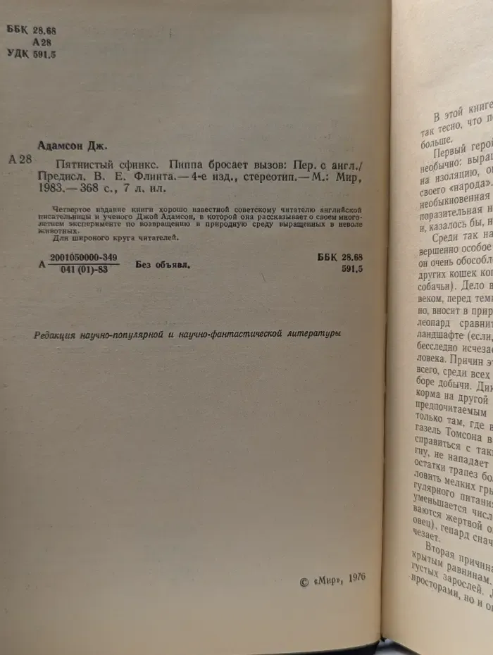 Пятнистый сфинкс. Пиппа бросает вызов