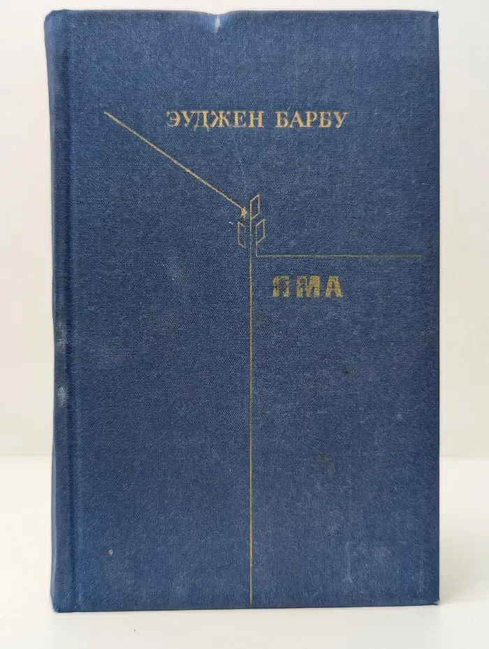Библиотека литературы Социалистической Республики Румынии. Яма