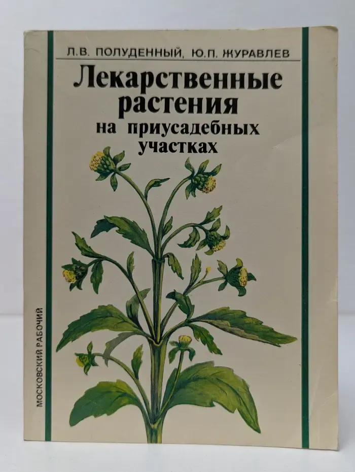 Лекарственные растения на приусадебных участках