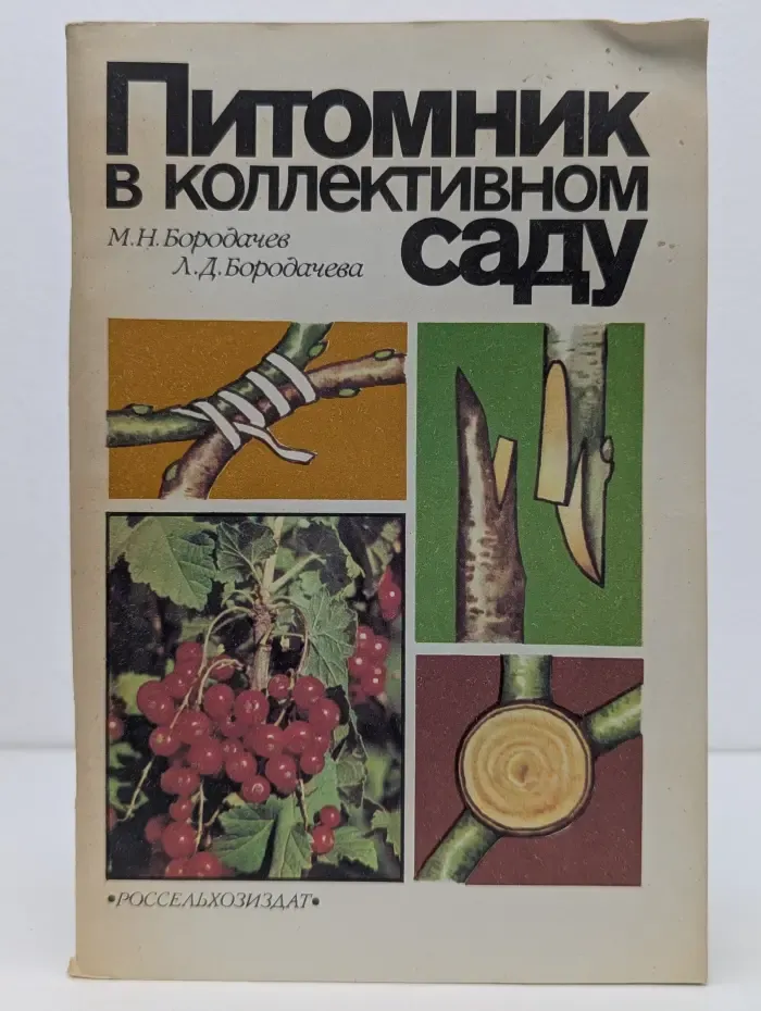 Питомник в коллективном саду